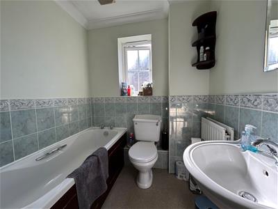 Picture 13